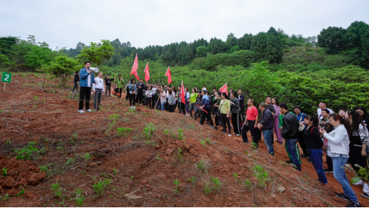 省美狮贵宾会集团开展龙泉山城市森林公园 “包山头”植树活动