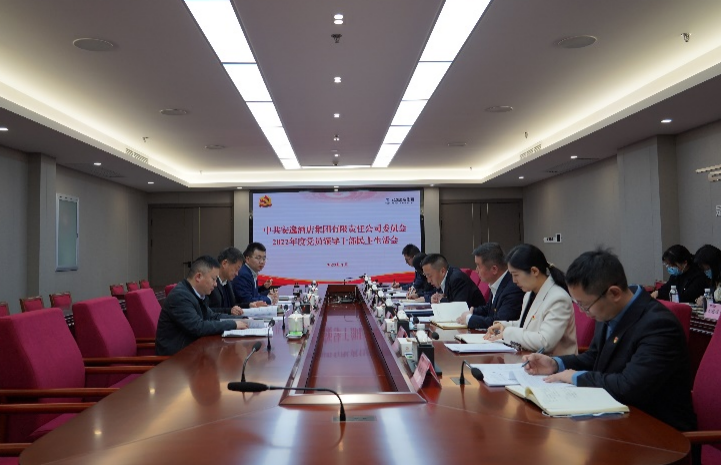 美狮贵宾会集团党委书记、董事长任丁出席安逸酒店集团2022年度党员领导干部民主生活会